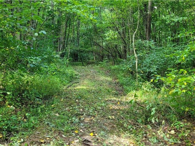 37760 Tappan Scio Road, Scio, OH 43988 Photo 31