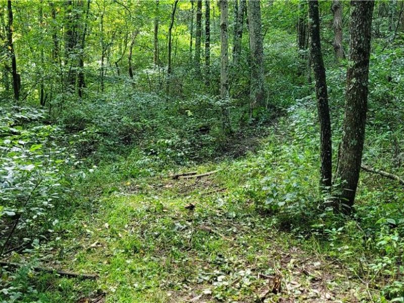 37760 Tappan Scio Road, Scio, OH 43988 Photo 32