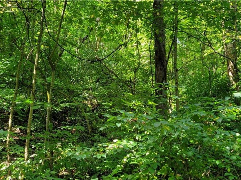 37760 Tappan Scio Road, Scio, OH 43988 Photo 34