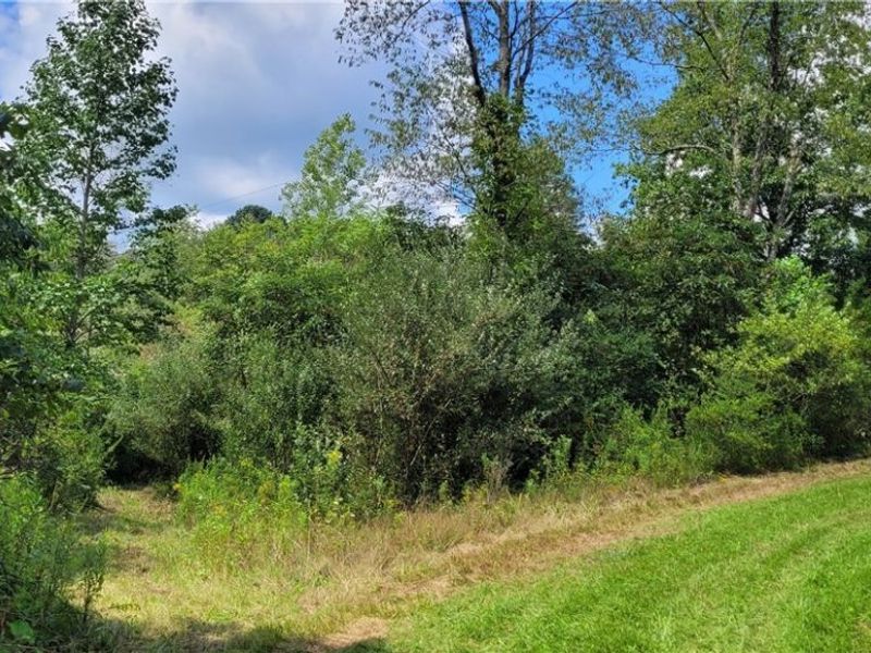 37760 Tappan Scio Road, Scio, OH 43988 Photo 4