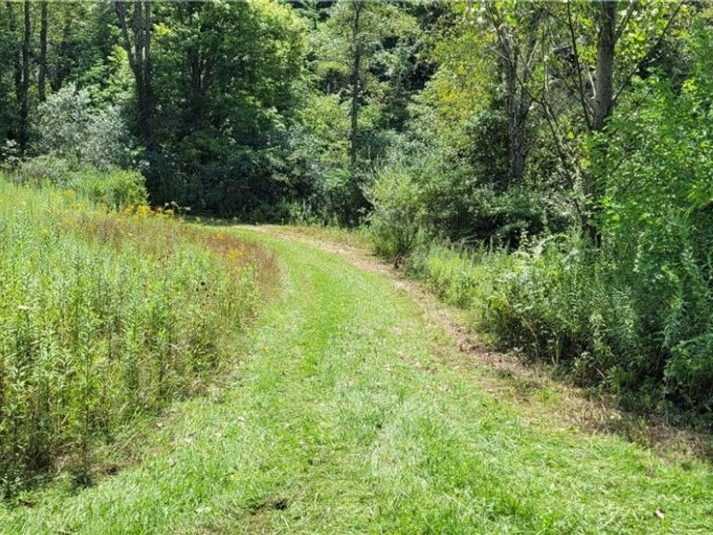 37760 Tappan Scio Road, Scio, OH 43988 Photo 6