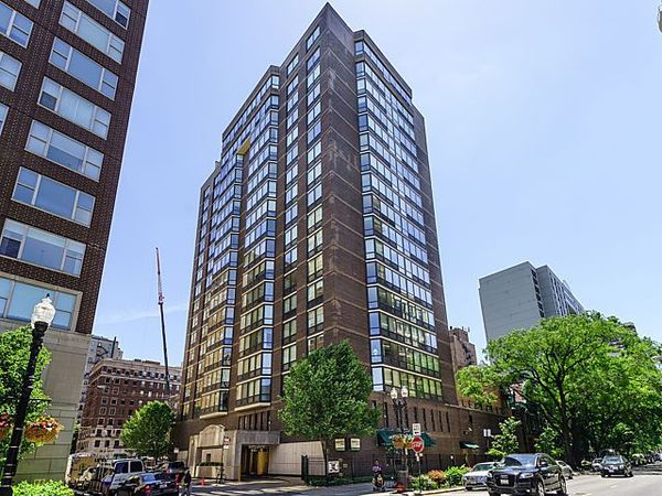 21 W Goethe Street, Unit 3L, Chicago, IL 60610