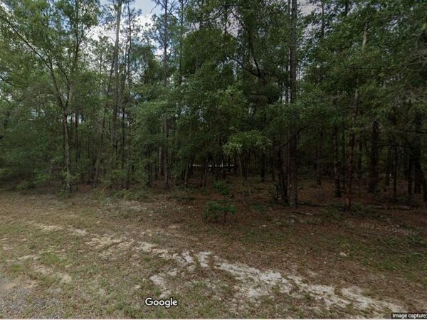 194 E FALCON STREET , CITRUS SPRINGS, FL 34434