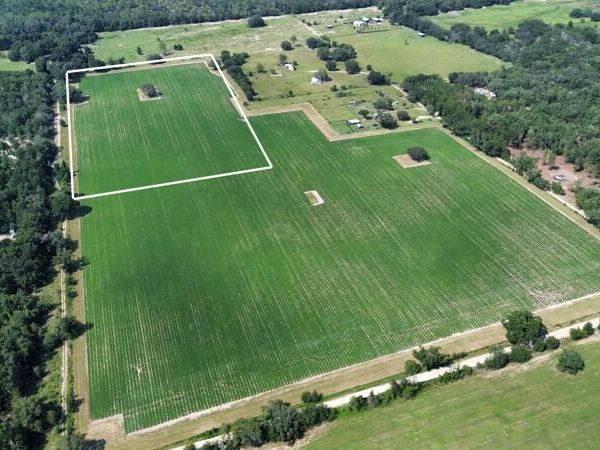 00 SW 120th Lane, Newberry, FL 32669