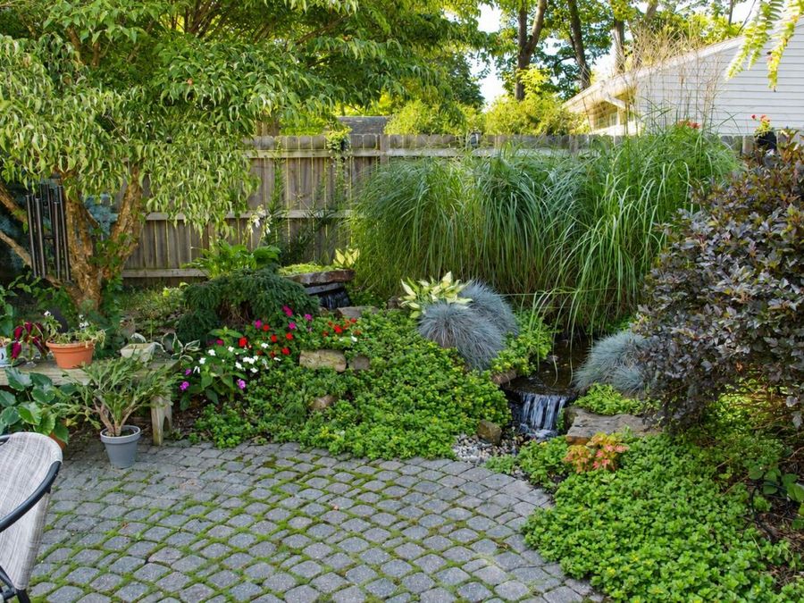 Property Image 29