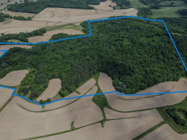 00 Dopp, Ettrick, WI 54627