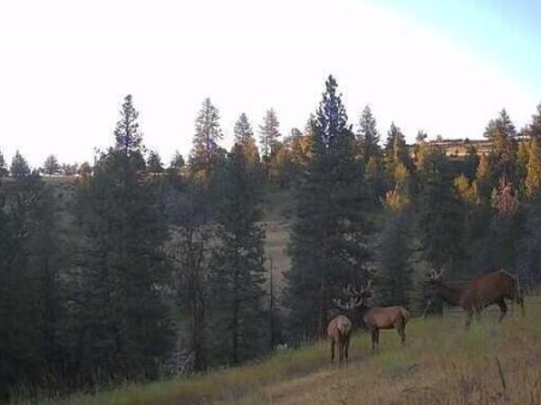 44540 Wind Creek Lane, Dayville, OR 97825