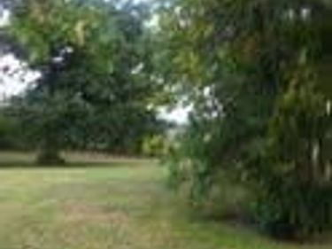 2309 Menelaus Road, Berea, KY 40403