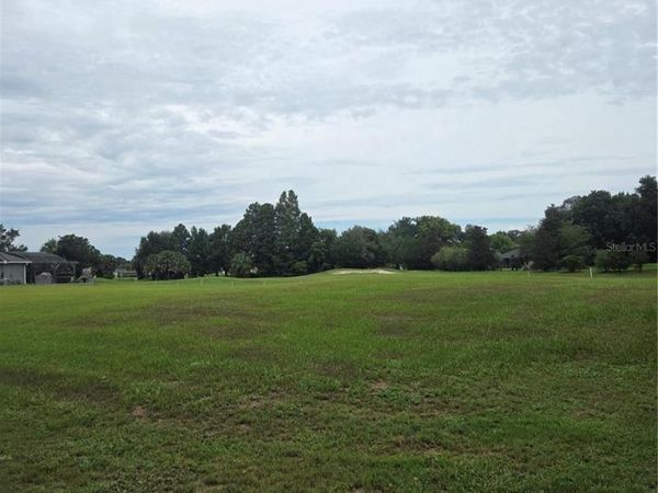517 DOWLING CIRCLE , LADY LAKE, FL 32159