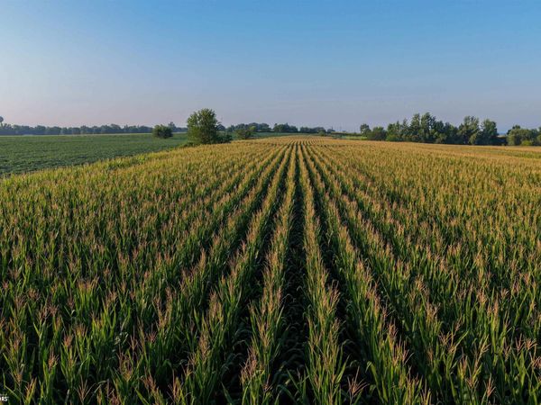 County Road G44X, Grandview, IA 52752