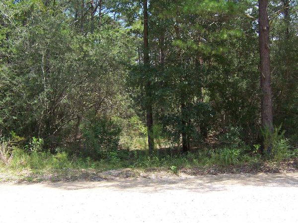 10 Ac Nowling Road, DeFuniak Springs, FL 32435