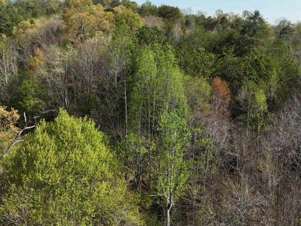 0 County Road 675 , Athens, TN 37303