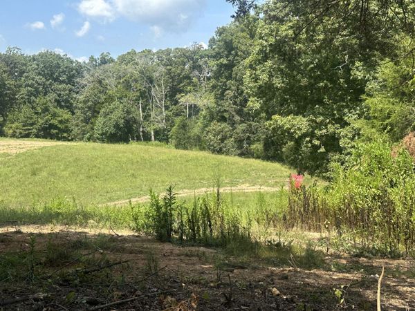 14611 Baker Road , Unit Lot 8, Birchwood, TN 37308