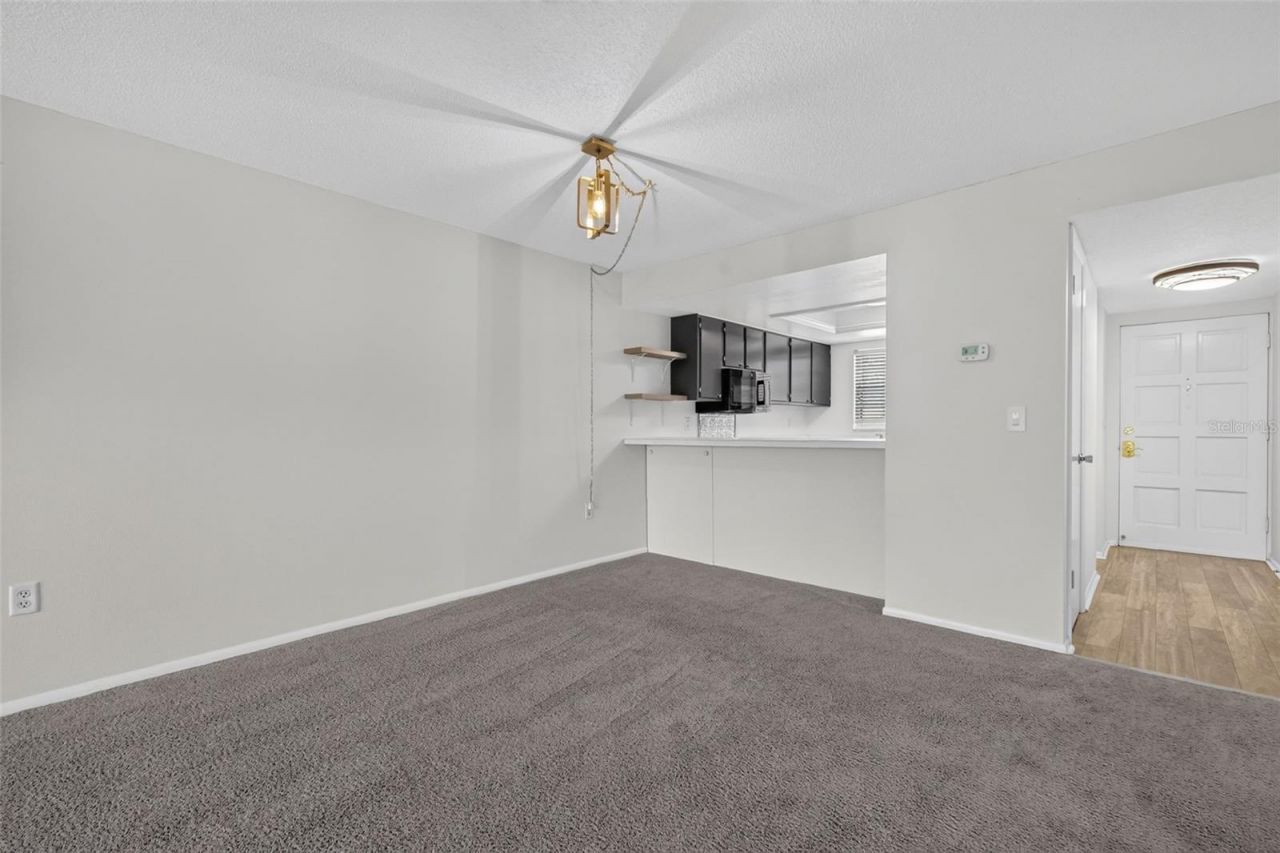 101 N Grandview Street , Unit 203, Mount Dora, FL 32757 Photo