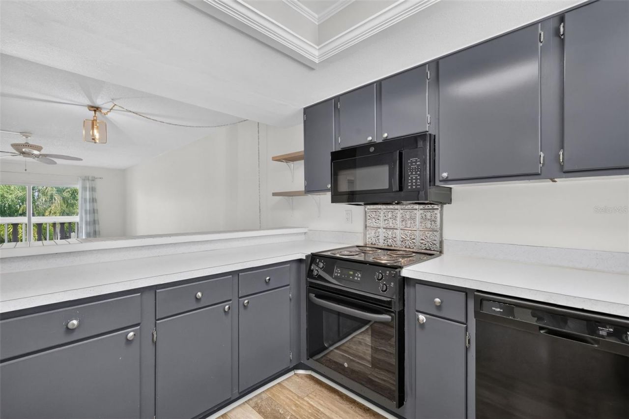 101 N Grandview Street , Unit 203, Mount Dora, FL 32757 Photo