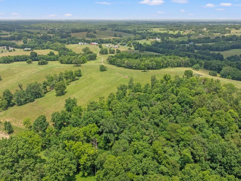 783B Rutland Road, Unit A, Cynthiana, KY 41031 Photo 11