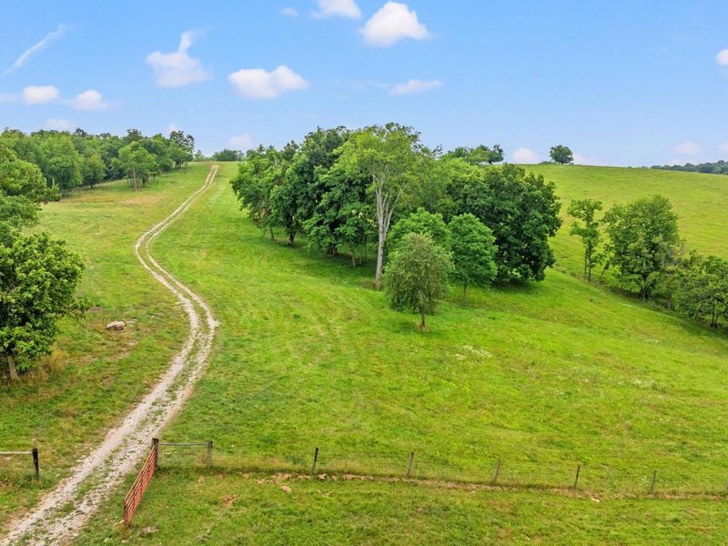 783B Rutland Road, Unit A, Cynthiana, KY 41031 Photo 2