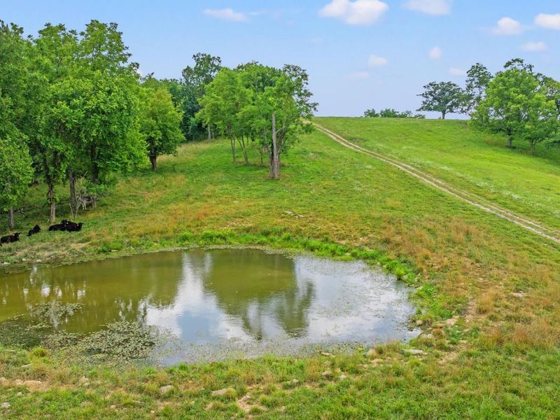 783B Rutland Road, Unit A, Cynthiana, KY 41031 Photo 6