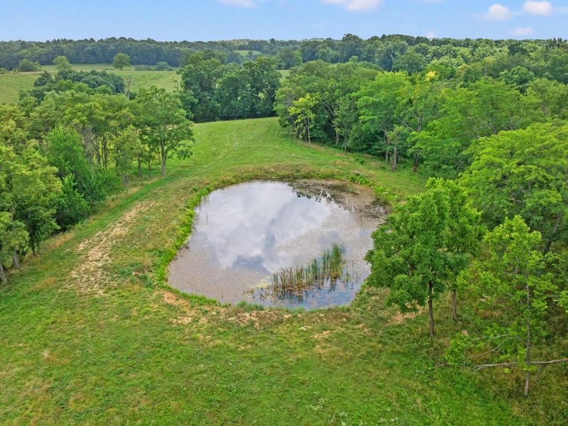 783B Rutland Road, Unit A, Cynthiana, KY 41031 Photo 8
