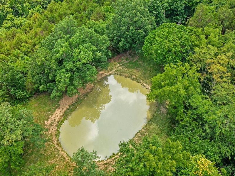 783B Rutland Road, Unit A, Cynthiana, KY 41031 Photo 9