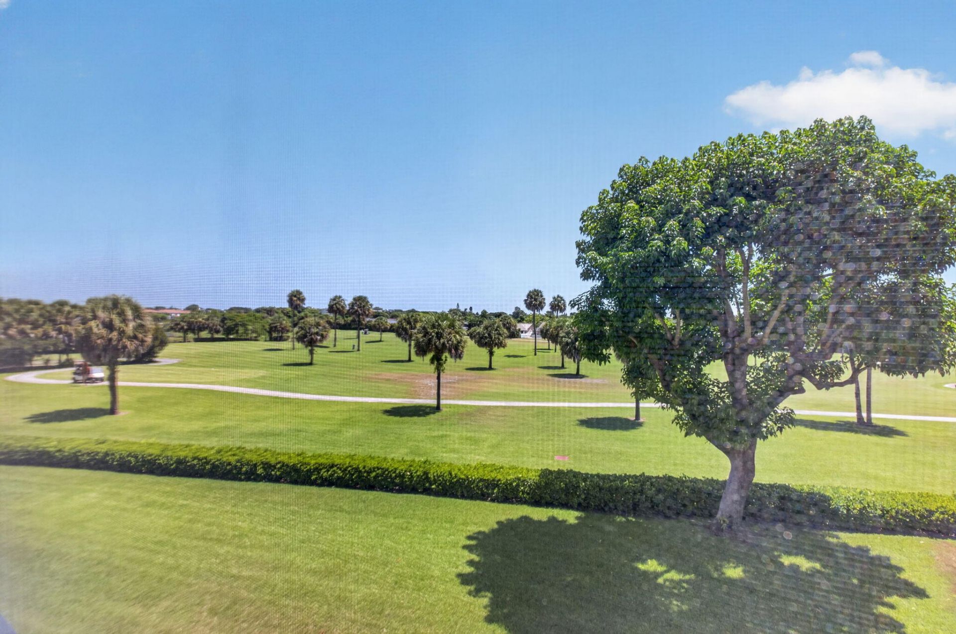 23249 Barwood Lane N, Unit 305, Boca Raton, FL 33428 Photo