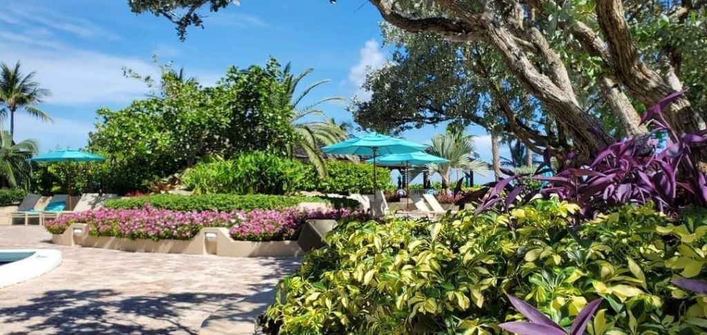 5000 N Ocean Boulevard, Unit 1008, Lauderdale by the Sea, FL 33308 Photo