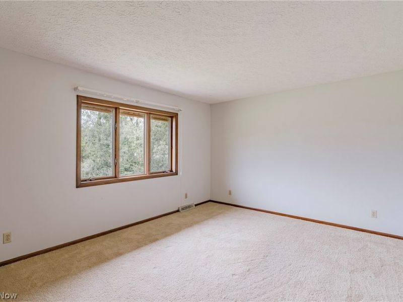 3202 Rustic Valley Drive, Medina, OH 44256 Photo 28