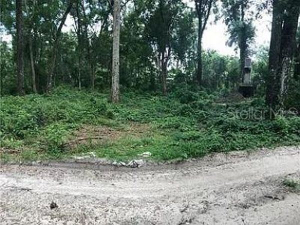 20316 BALDPATE ROAD , ALTOONA, FL 32702