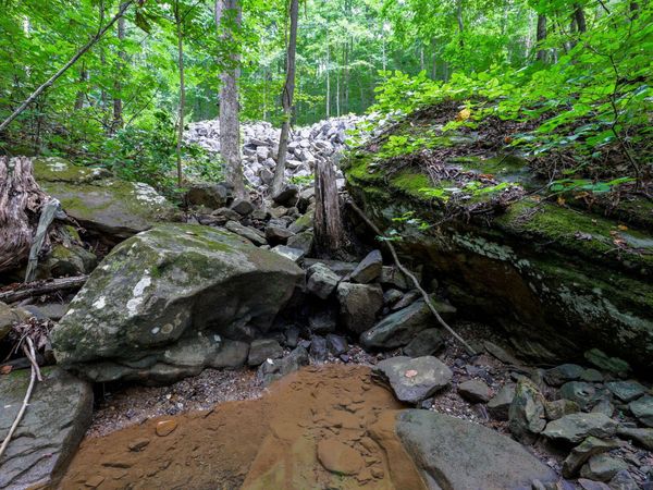 00 Lee Station Mountain Road 90, Pikeville, TN 37367