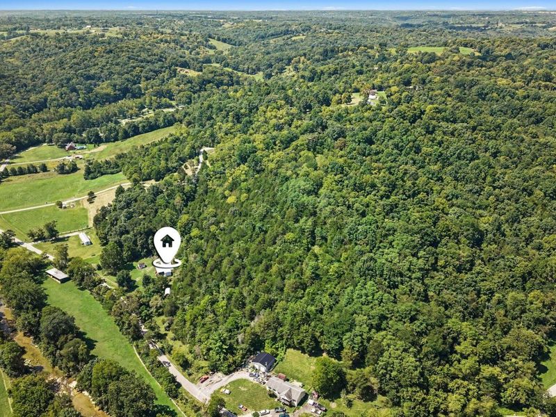2912 Hempfling Road, Morning View, KY 41063 Photo 40