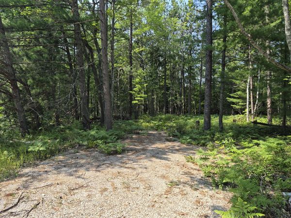 V/L Chippewa Trail, Rogers City, MI 49779