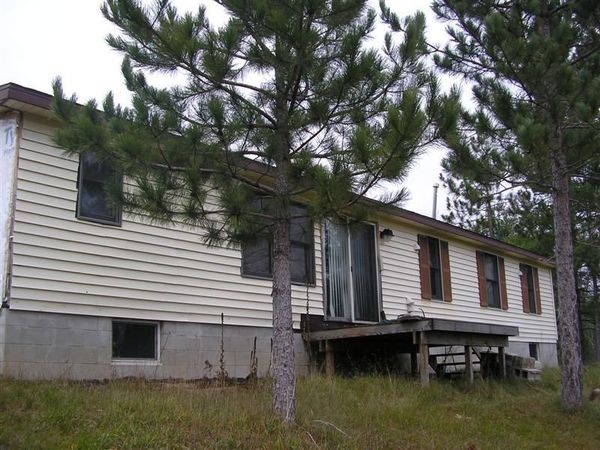 15860 Riverside Trail, Wolverine, MI 49799