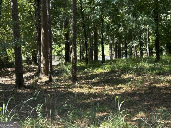1191 Lake View Court, Greensboro, GA 30642