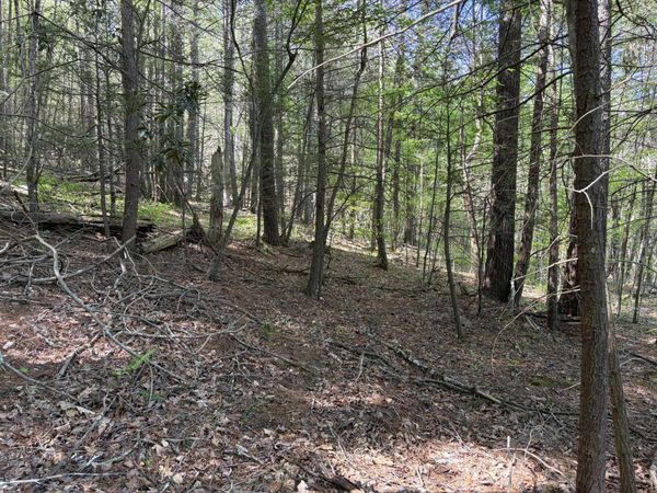 Lot 15 Pocahontas Trail, White Sulphur Springs, WV 24986