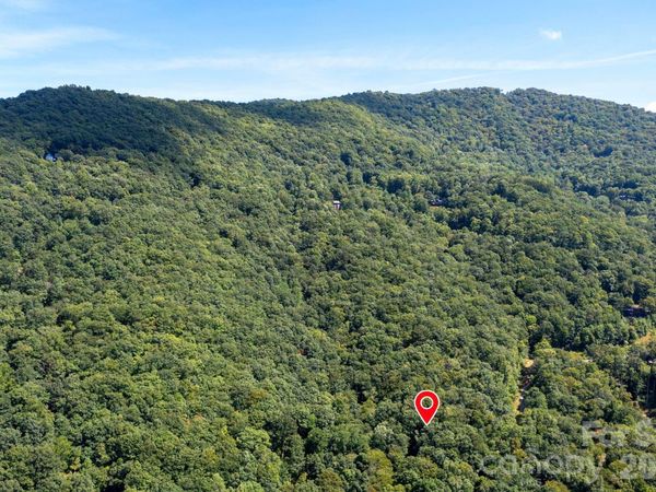1250 Arborcrest Way, Swannanoa, NC 28778