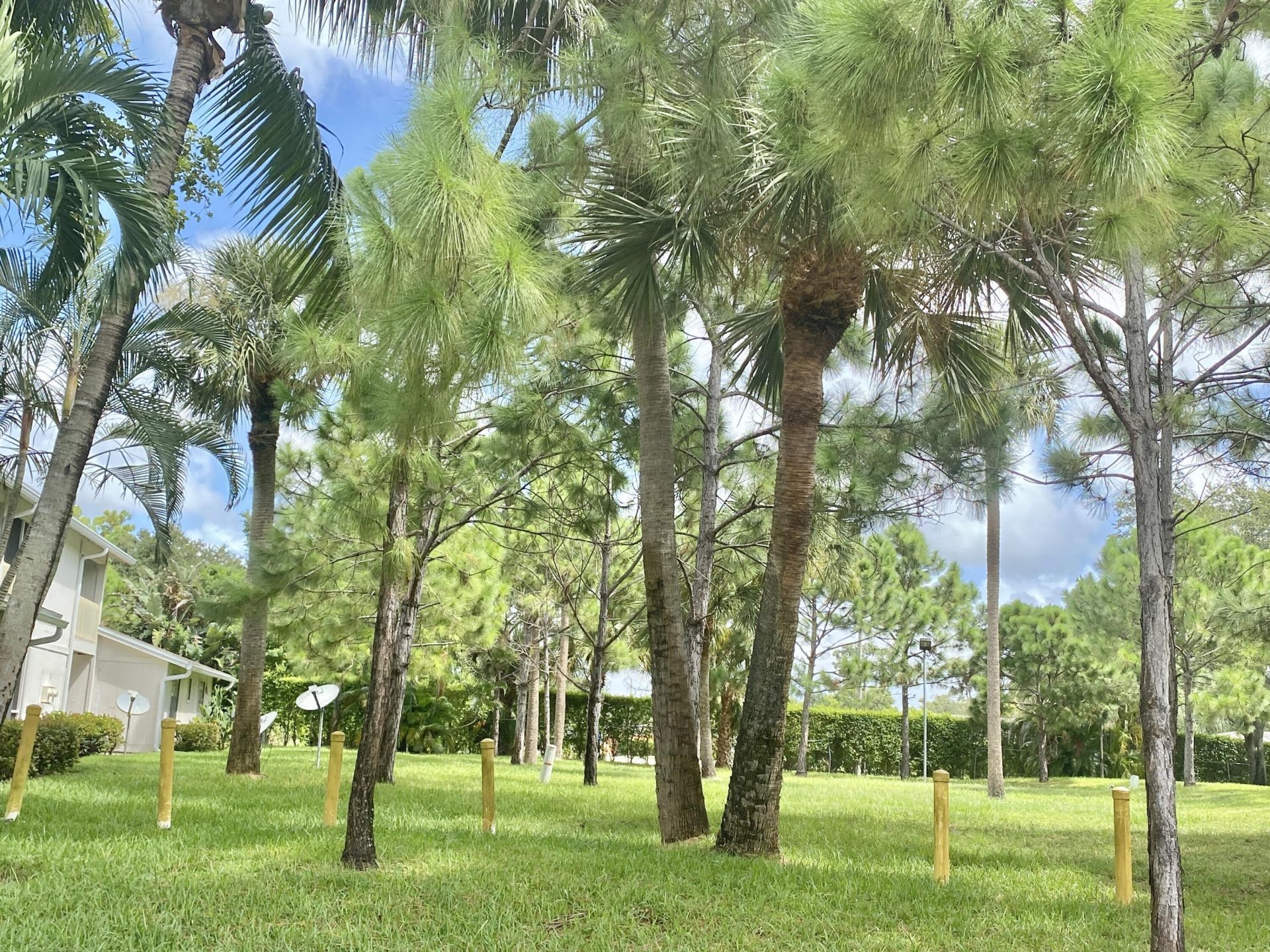 5320 Elmhurst Road, Unit B, West Palm Beach, FL 33417 Photo