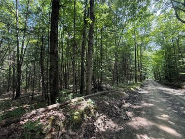W Whitcomb Road, Barton, NY 13734