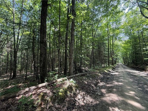 W Whitcomb Road , Barton, NY 13734
