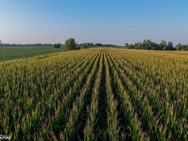 Eagle Avenue, Fertile, IA 50434