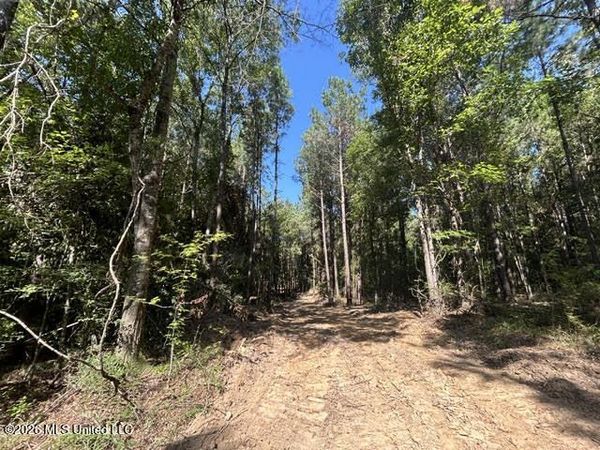 Chisholm Drive, Summit, MS 39666