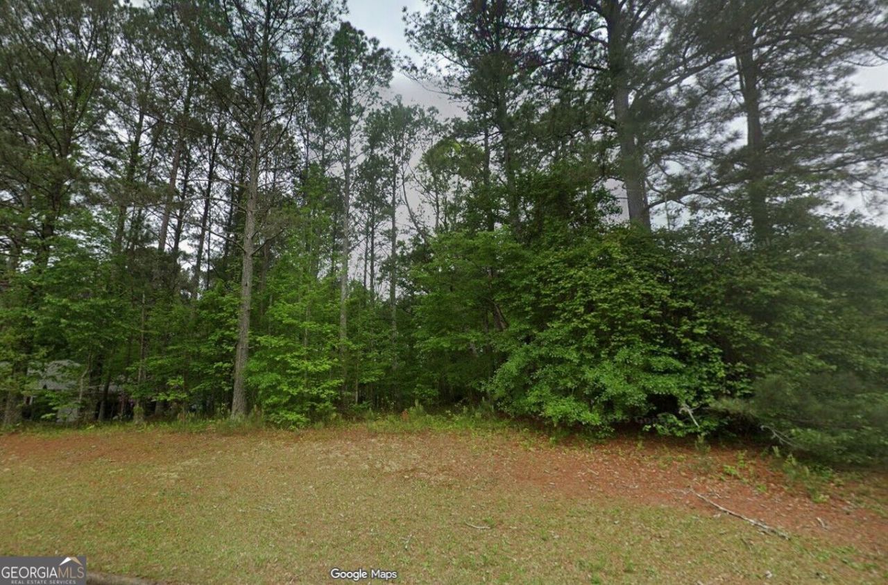 195 Farr Lake Drive, Tyrone, GA 30290 Main Photo