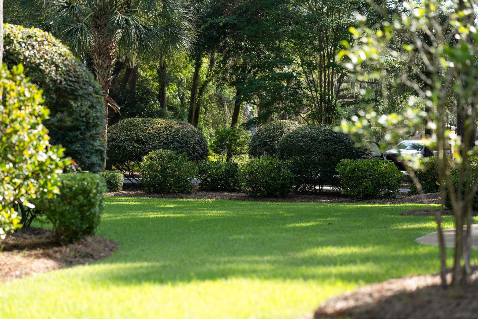 3305 Hopkinson Plantation Road Photo 51