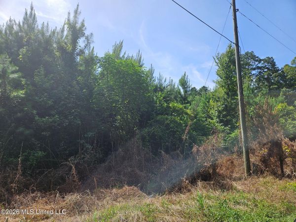 Log Cabin Road, Roxie, MS 39661