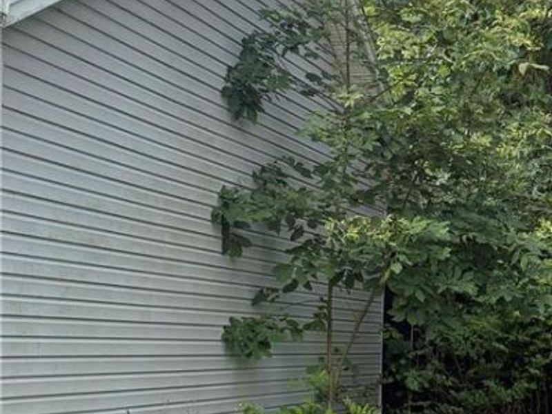 153 Finland Drive, Eaton, OH 45320 Photo 13