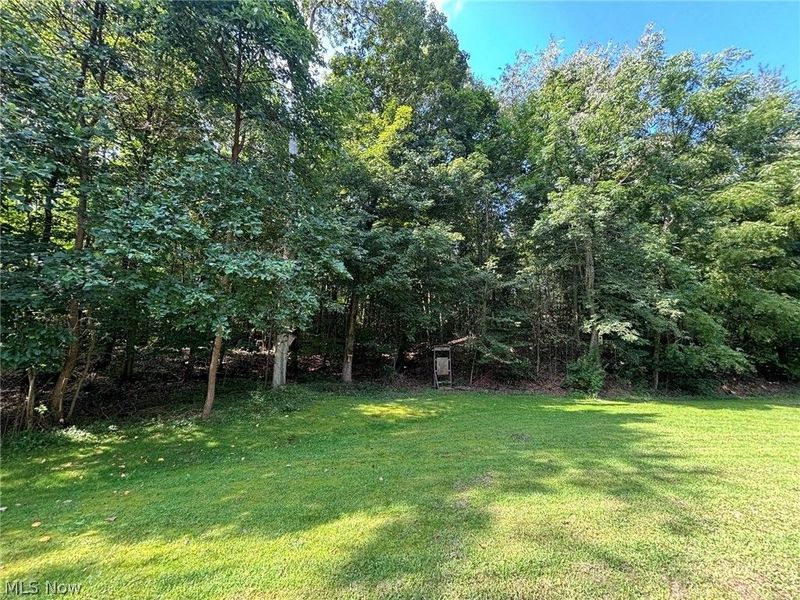 7714 Pass Lane, Lisbon, OH 44432 Photo 2
