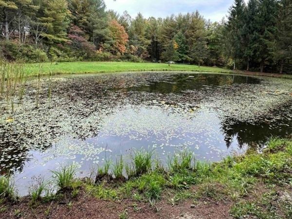 8248 Gallagher Road , Prattsburgh, NY 14873
