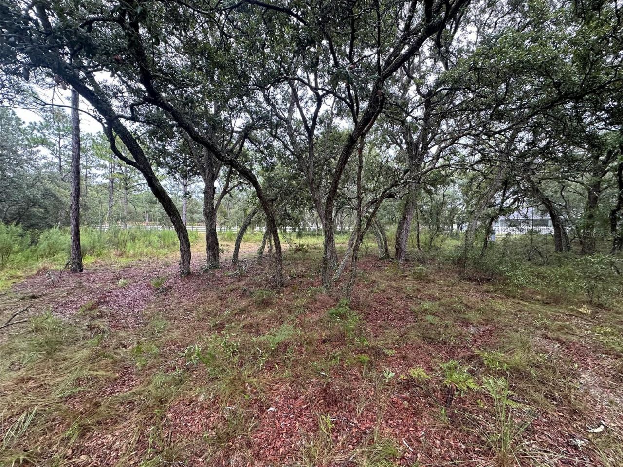 10361 Thrasher Avenue, Weeki Wachee, FL 34614 Photo