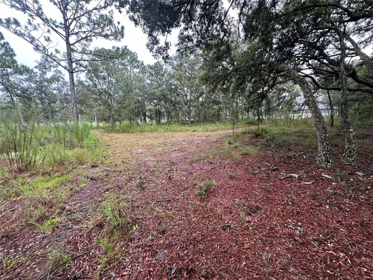10361 Thrasher Avenue, Weeki Wachee, FL 34614 Photo