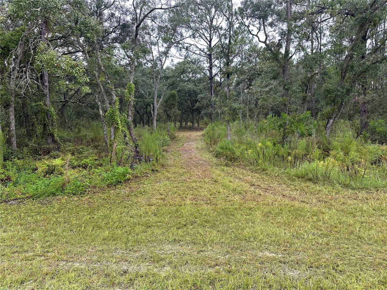 10361 Thrasher Avenue, Weeki Wachee, FL 34614 Photo