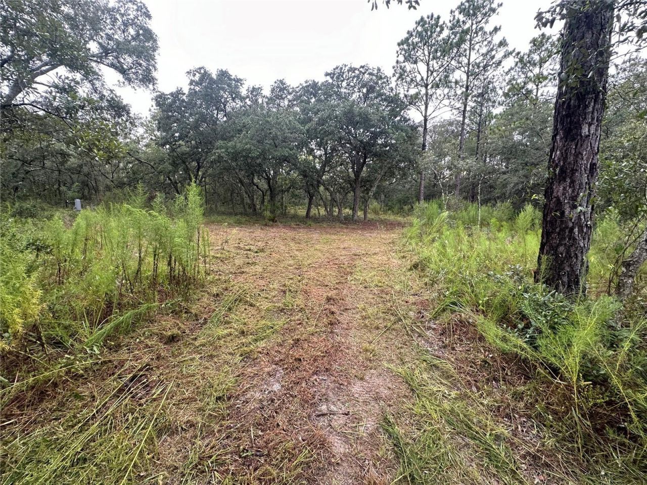 10361 Thrasher Avenue, Weeki Wachee, FL 34614 Photo